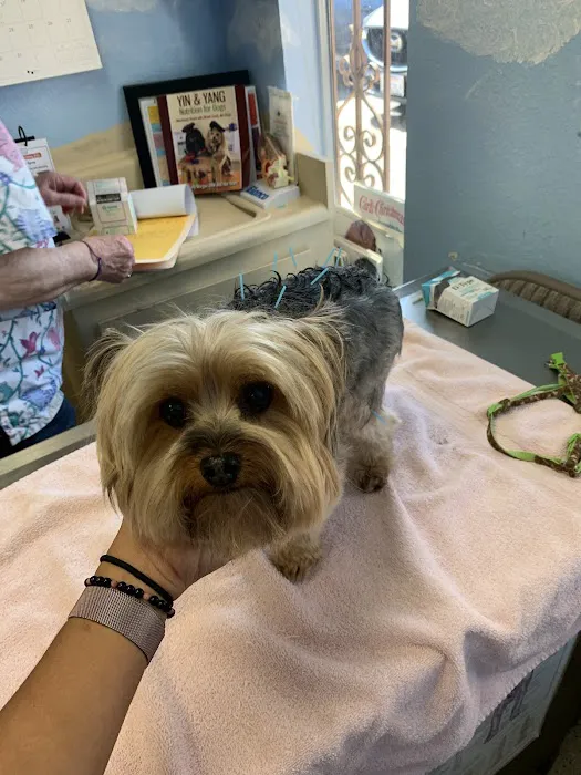 South San Diego Veterinary Hospital 12