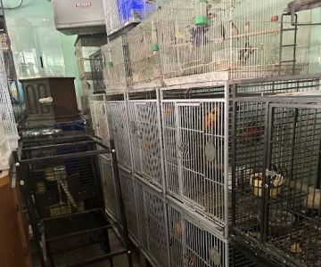Lemon Grove Pet supplies and EXOTICS