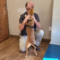 Bluegrass Veterinary Hospital PLLC ico
