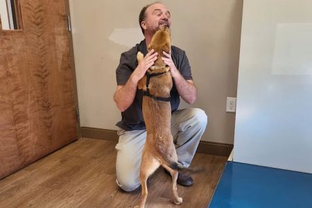 Bluegrass Veterinary Hospital PLLC