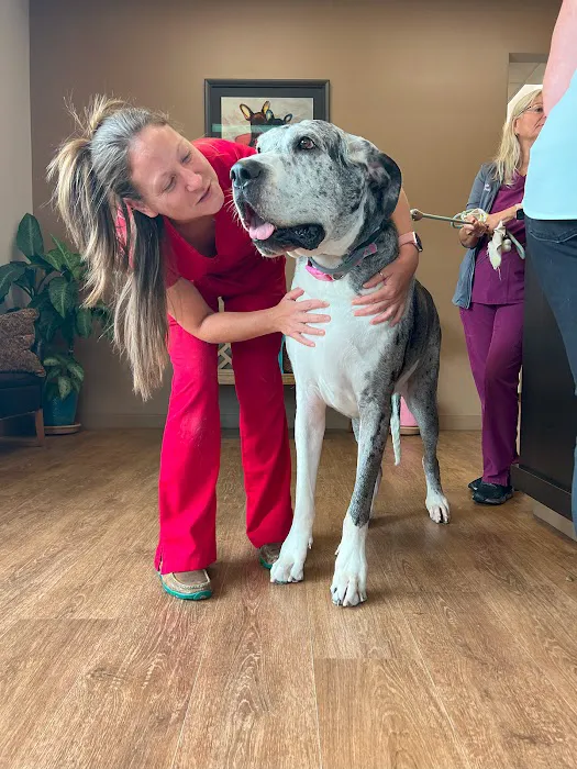 Bluegrass Veterinary Hospital PLLC 12