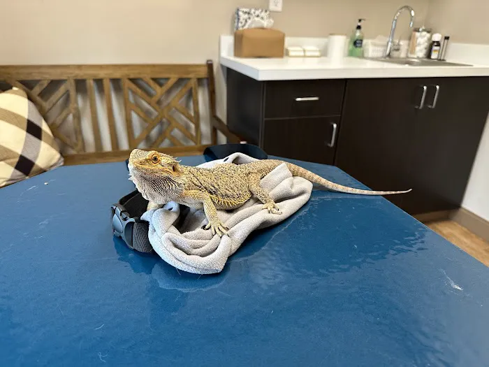 Bluegrass Veterinary Hospital PLLC 12