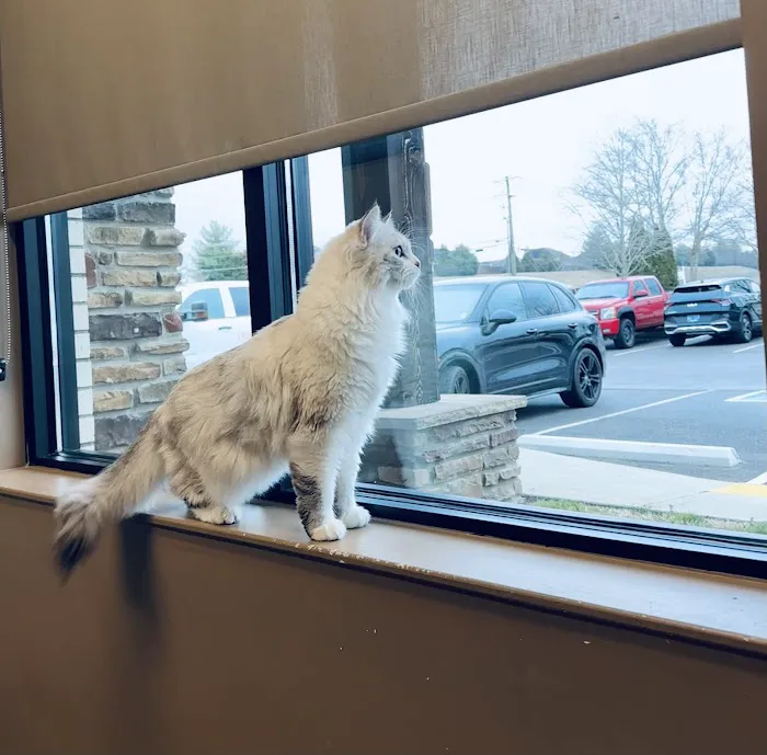 Bluegrass Veterinary Hospital PLLC 12