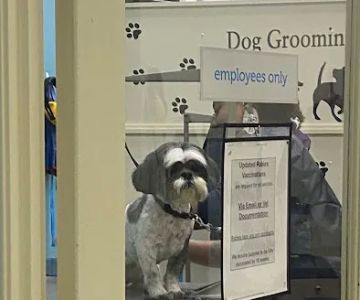 Petco