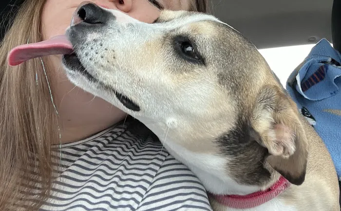 Southern Veterinary Center 12