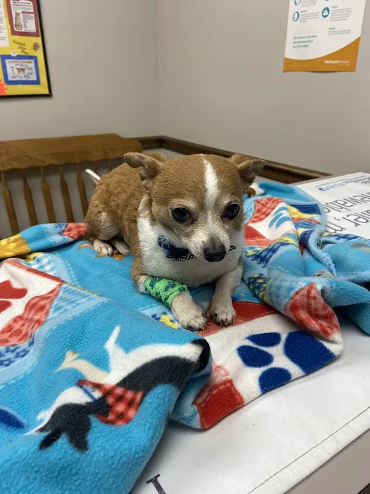 Southern Veterinary Center 12