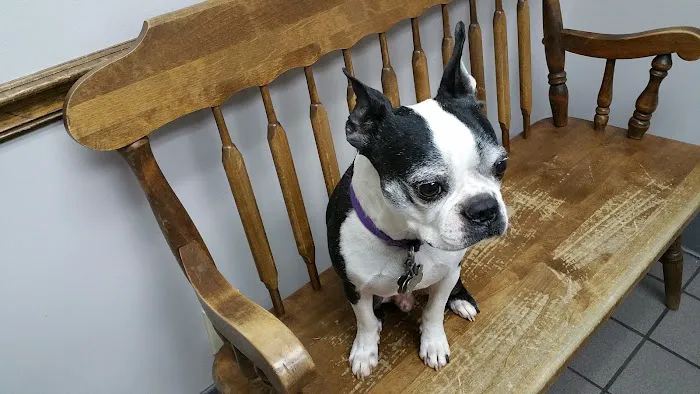 Southern Veterinary Center 12