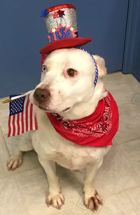 Warren Animal Hospital 12