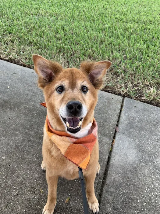 Happy Paws Veterinary Center 12