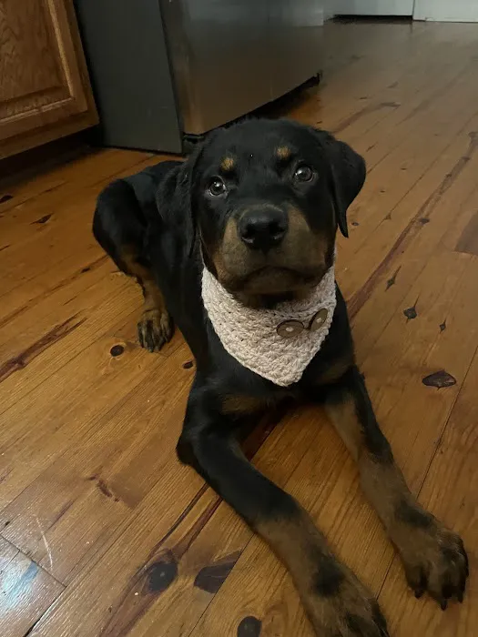 Happy Paws Veterinary Center 12