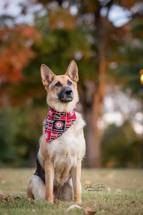 Happy Paws Veterinary Center 12