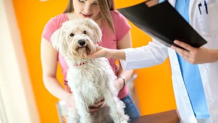 Stones River Veterinary Hospital 12