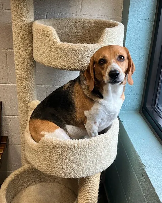 Stones River Veterinary Hospital 12