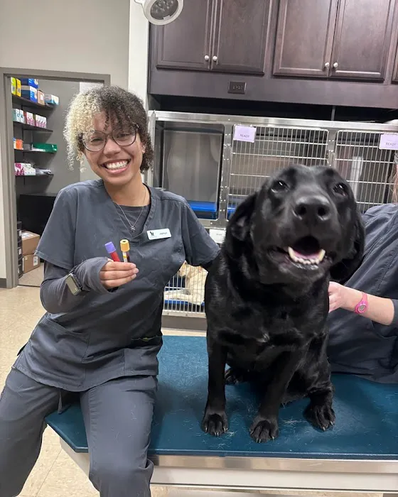 Stones River Veterinary Hospital 12