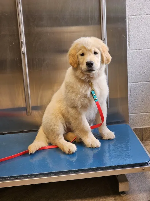 Stones River Veterinary Hospital 12