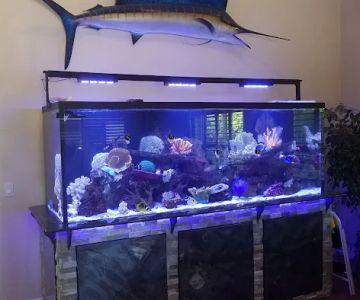 San Diego Aquarium Cleaning
