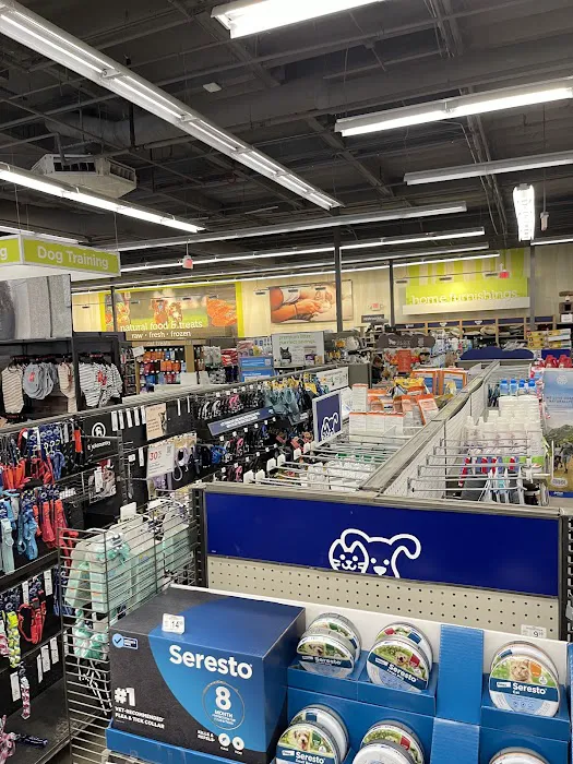 Petco 1