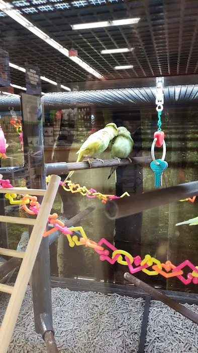 Petco 3