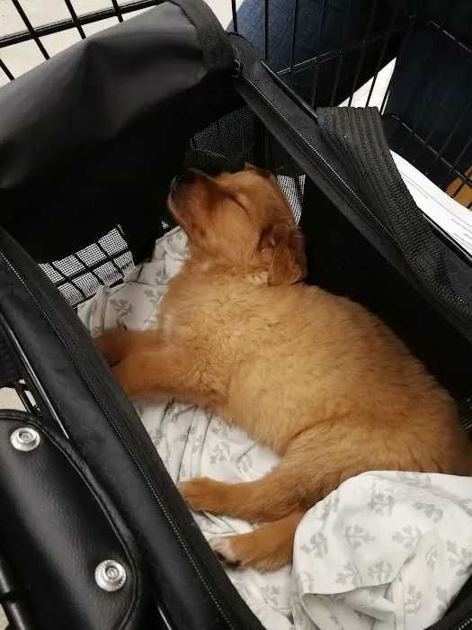 Petco 6