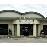 Belmont Animal Hospital ico