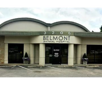 Belmont Animal Hospital