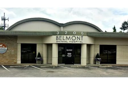 Belmont Animal Hospital