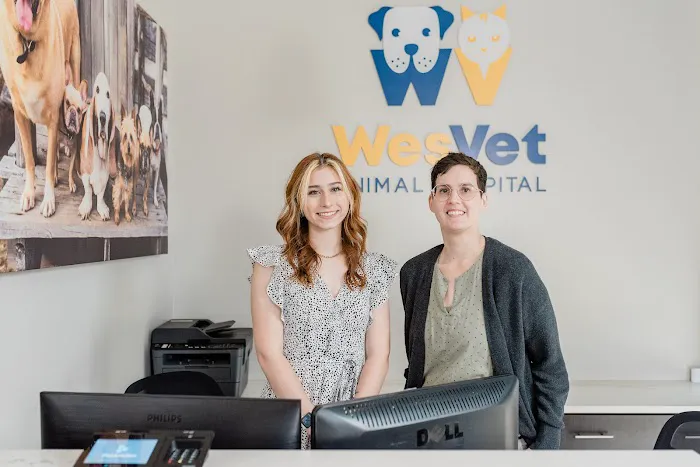WesVet Animal Hospital 12