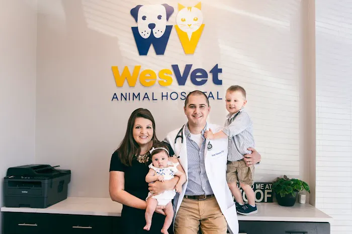 WesVet Animal Hospital 12