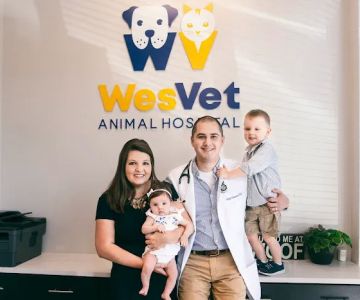 WesVet Animal Hospital