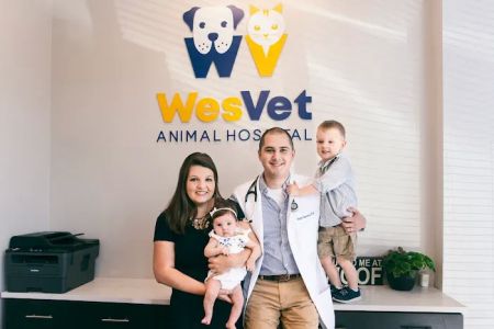WesVet Animal Hospital