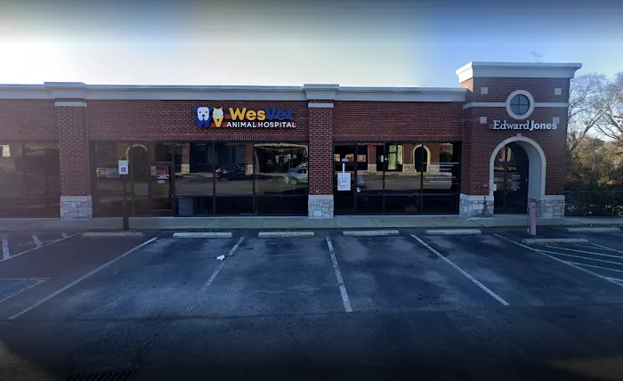WesVet Animal Hospital 12
