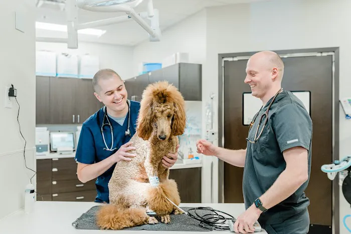 WesVet Animal Hospital 12