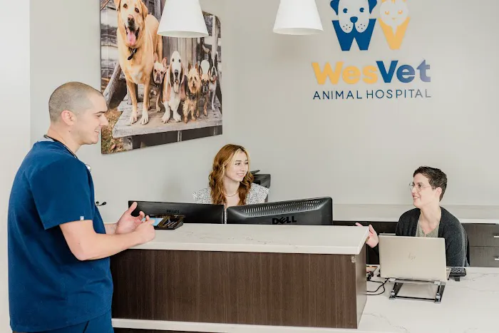 WesVet Animal Hospital 12