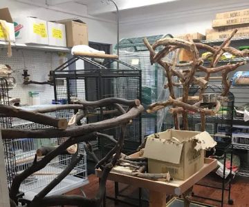 Tropic Island Bird & Supply