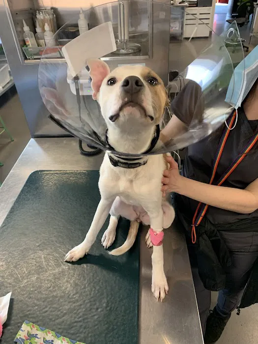 Parker's Paws Animal Hospital 12