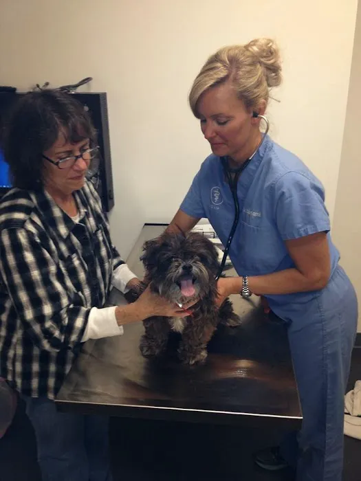Parker's Paws Animal Hospital 12