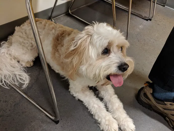 Parker's Paws Animal Hospital 12