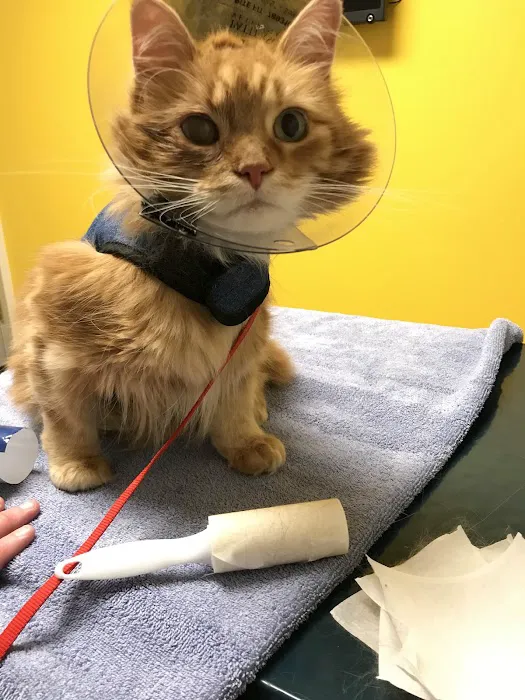 Parker's Paws Animal Hospital 12
