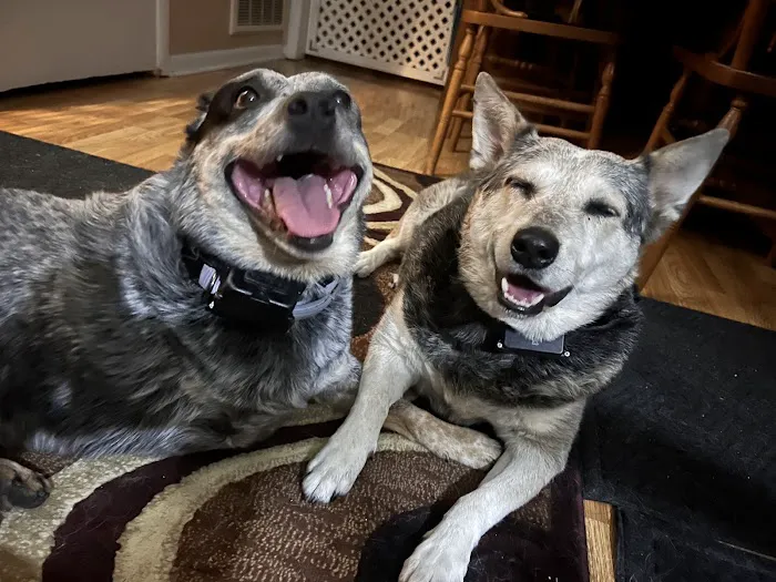 Parker's Paws Animal Hospital 12