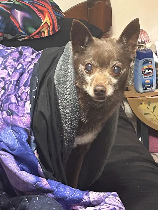 Parker's Paws Animal Hospital 12