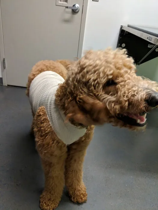 Parker's Paws Animal Hospital 12