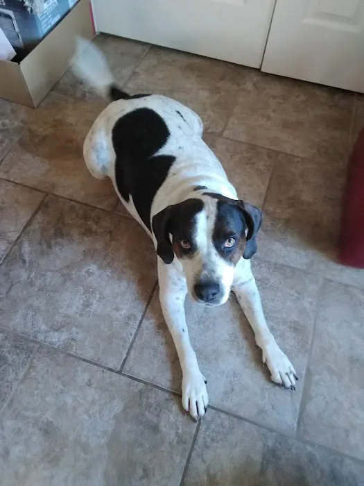 La Vergne Veterinary Clinic 12