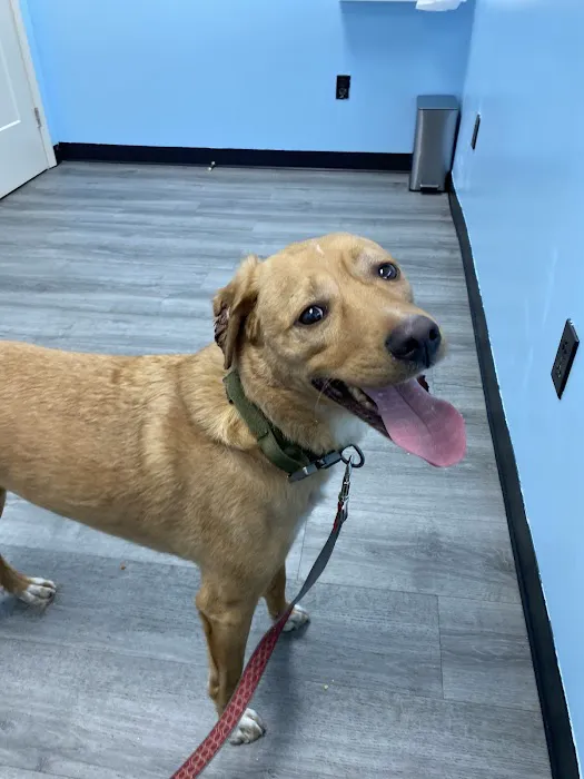 Good Samaritan Animal Clinic 12