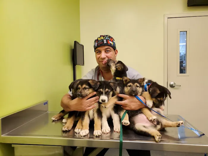 Good Samaritan Animal Clinic 12