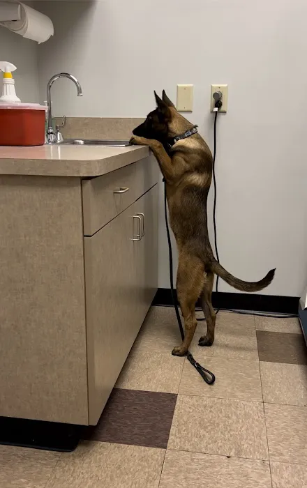 Concord Road Animal Hospital & Pet Spa | Brentwood & Nolensville 12