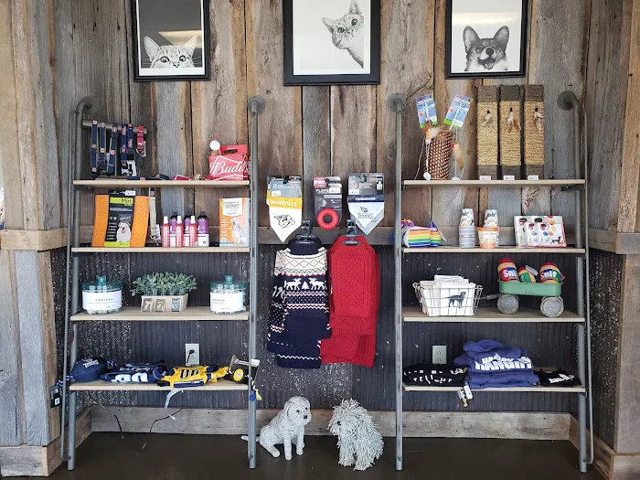 Concord Road Animal Hospital & Pet Spa | Brentwood & Nolensville 12
