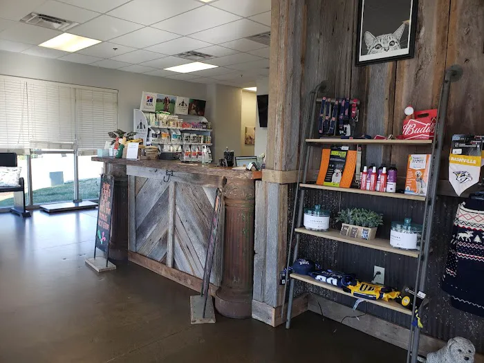 Concord Road Animal Hospital & Pet Spa | Brentwood & Nolensville 12