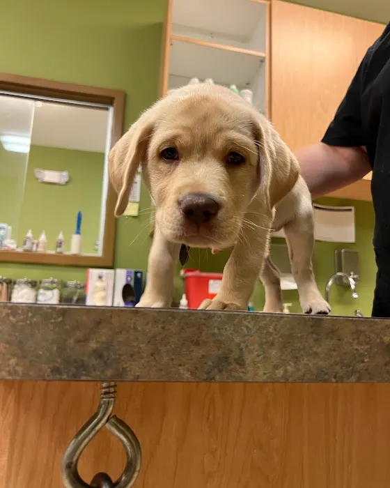 Nippers Corner Pet Medical Center 12