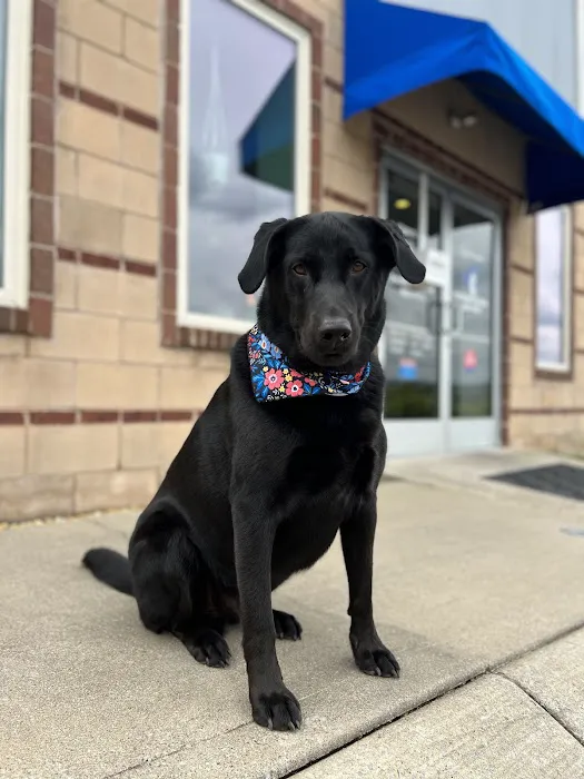 Nippers Corner Pet Medical Center 12