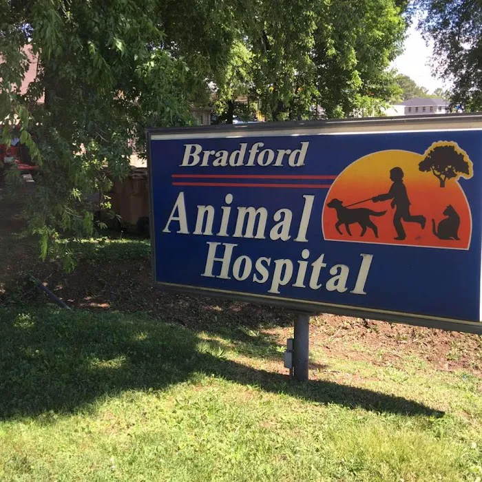 Bradford Animal Hospital 12